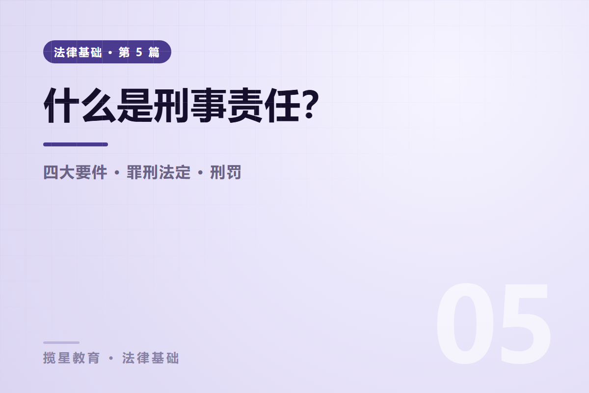 行业资讯 - 揽星教育法律基础系列 - 什么是刑事责任？犯罪构成与刑罚种类讲清