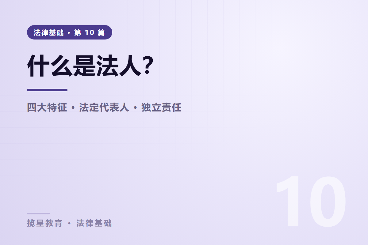 行业资讯 - 揽星教育法律基础系列 - 什么是法人？四大特征与三类常见分类