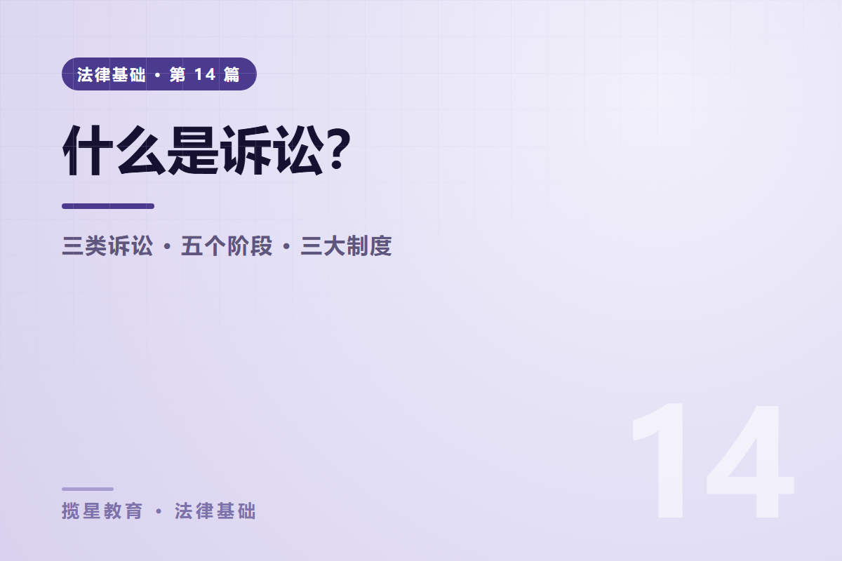 行业资讯 - 揽星教育法律基础系列 - 什么是诉讼？