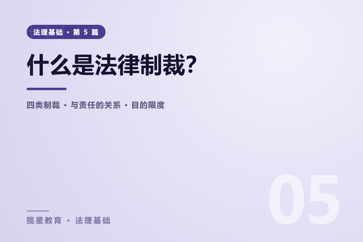 行业资讯 - 揽星教育法理基础系列 - 什么是法律制裁？